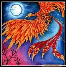 Drachen