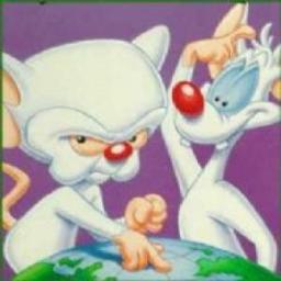 Pinkyandcerebro